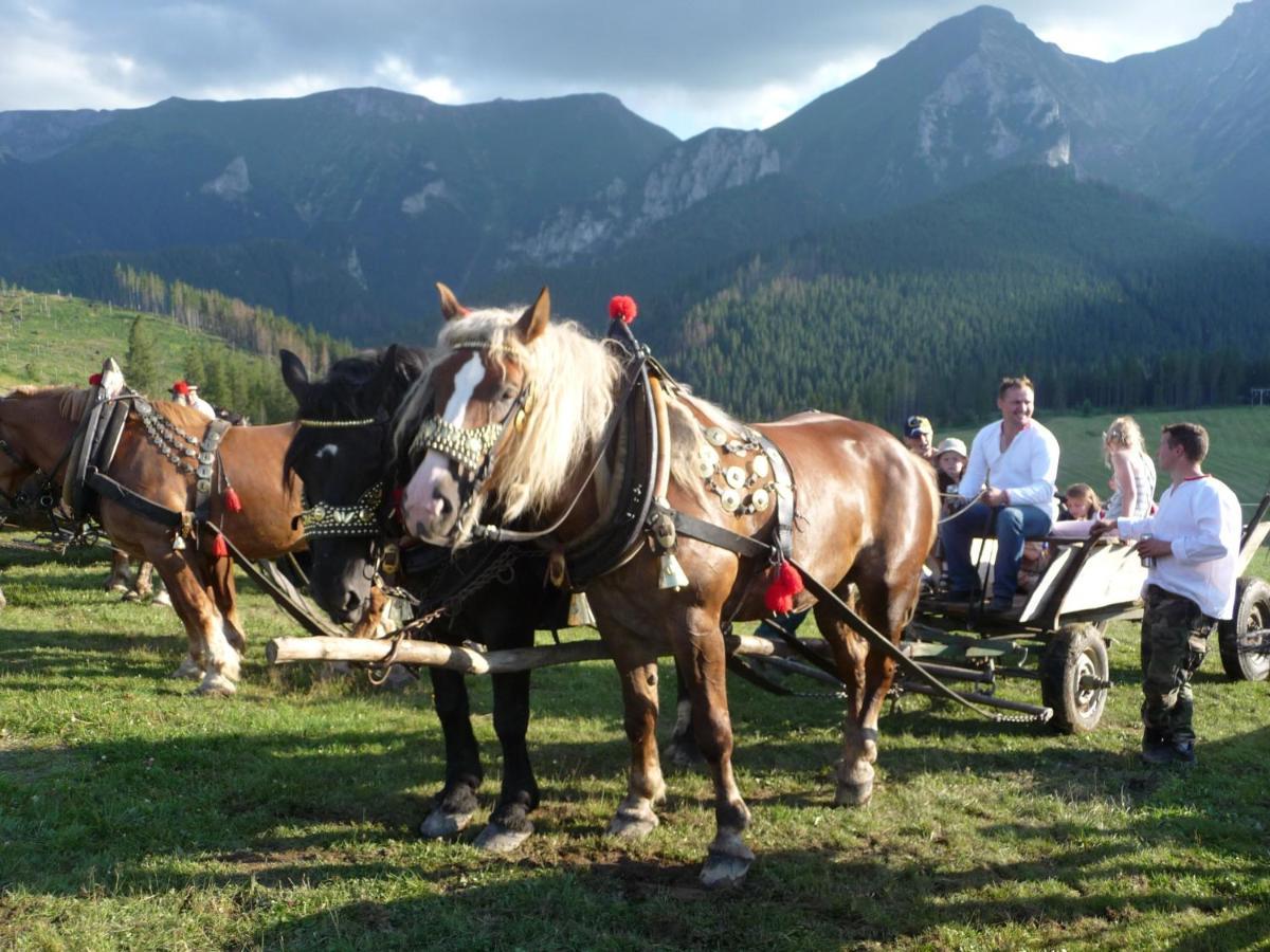 Rodinny Penzion Zdiaran Ždiar Exterior foto