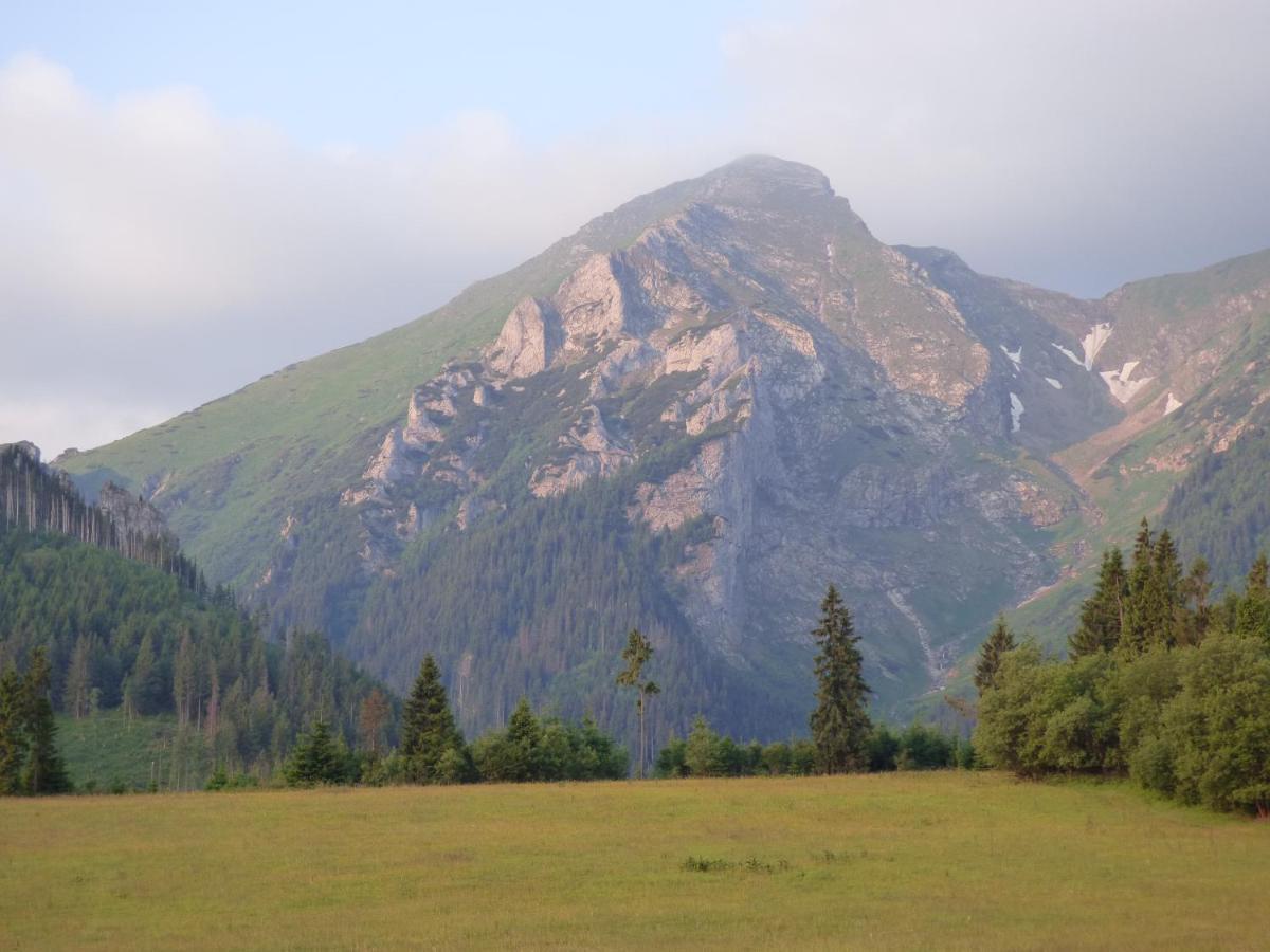 Rodinny Penzion Zdiaran Ždiar Exterior foto