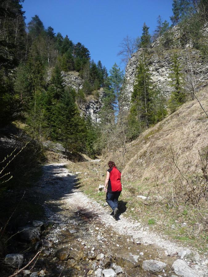 Rodinny Penzion Zdiaran Ždiar Exterior foto