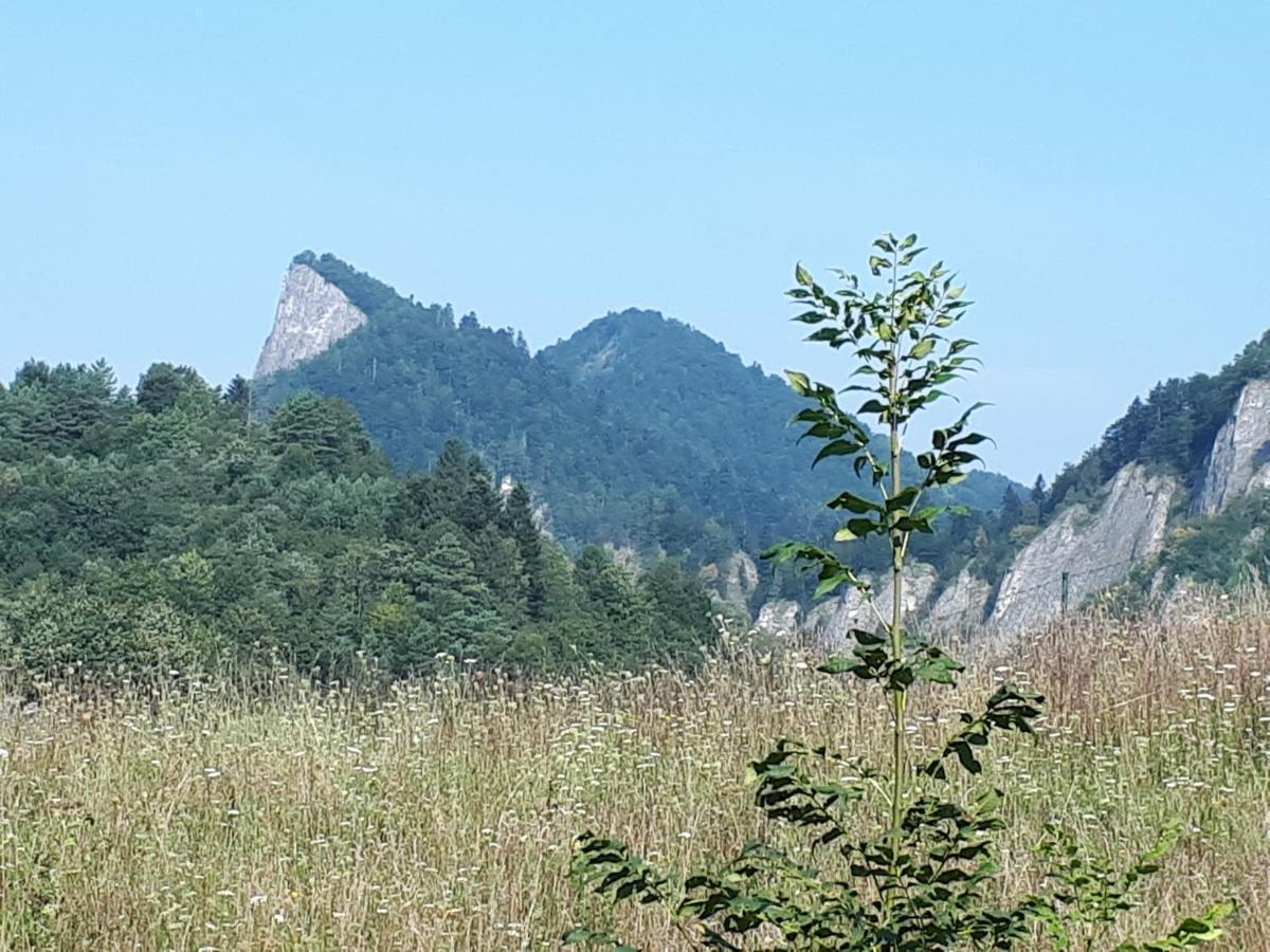 Rodinny Penzion Zdiaran Ždiar Exterior foto