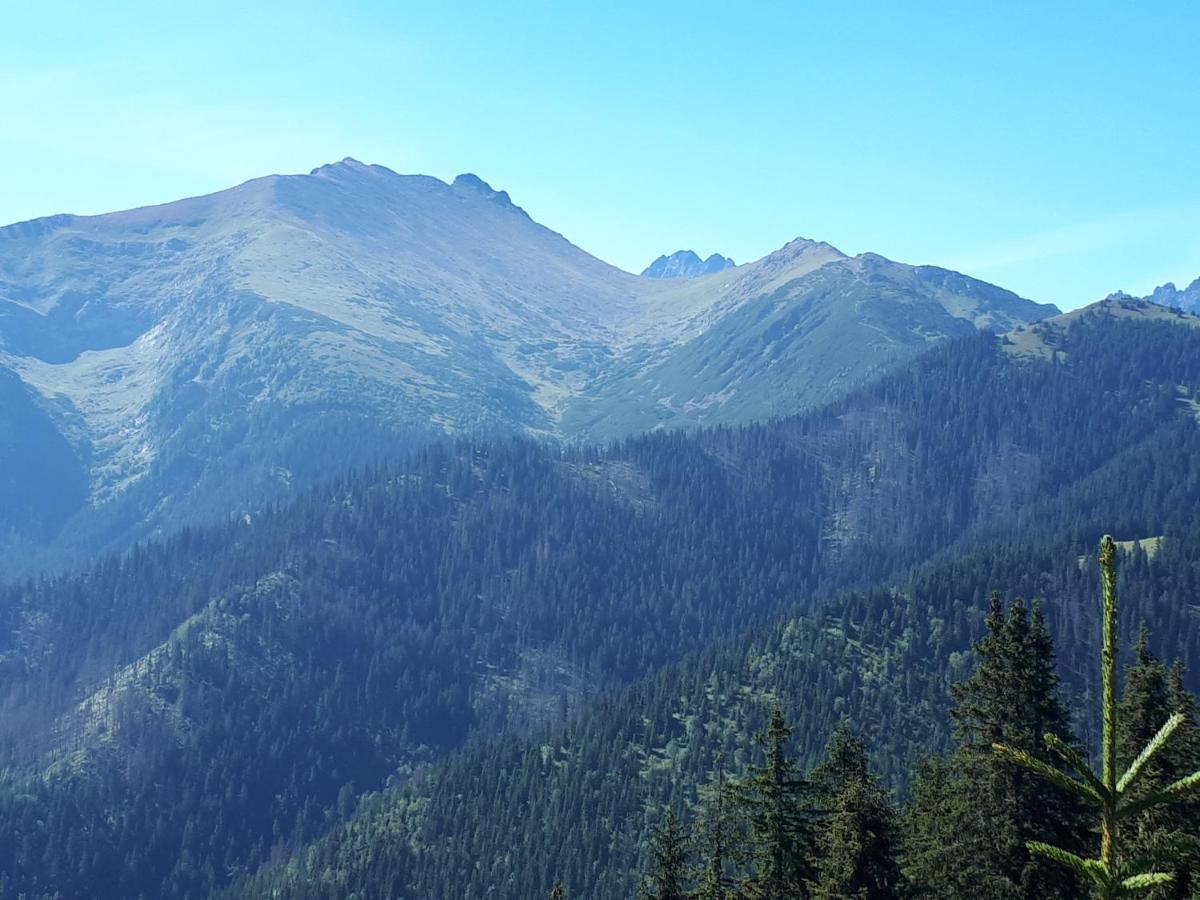Rodinny Penzion Zdiaran Ždiar Exterior foto